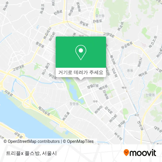 트리플x 플스방 지도