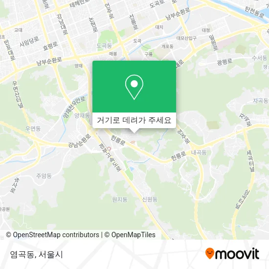염곡동 지도