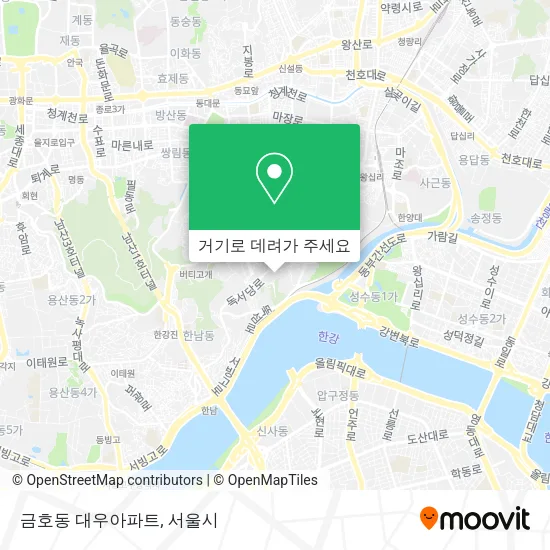 금호동 대우아파트 지도