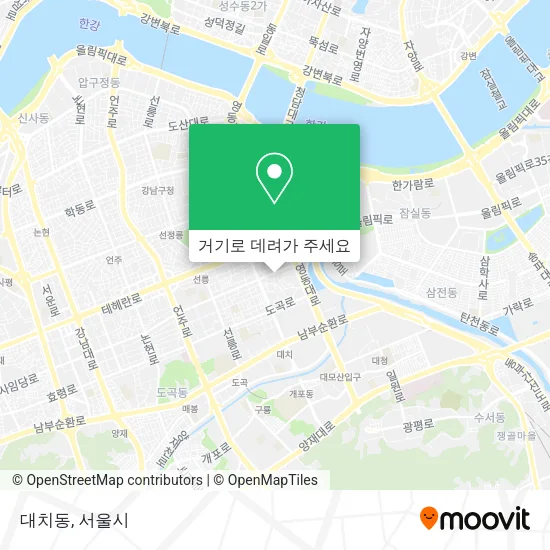 대치동 지도