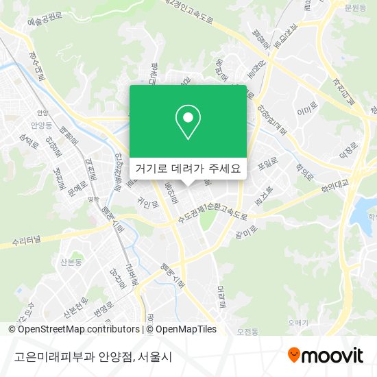 고은미래피부과 안양점 지도