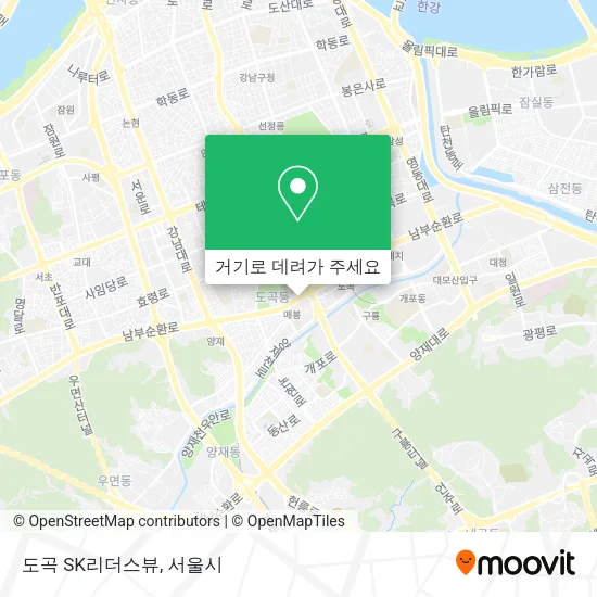 도곡 SK리더스뷰 지도