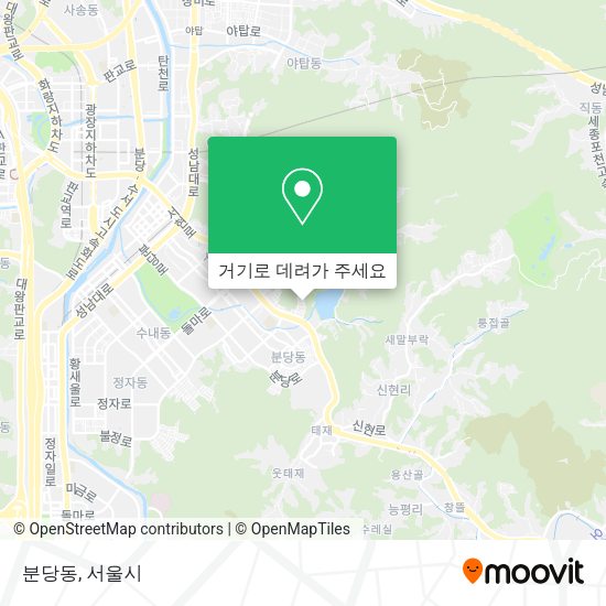 분당동 지도