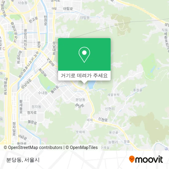 분당동 지도