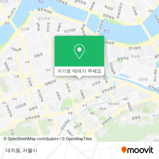 대치동 지도