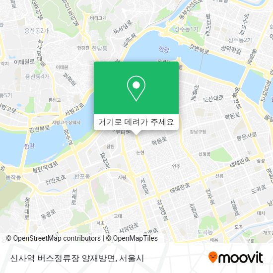 신사역 버스정류장 양재방면 지도