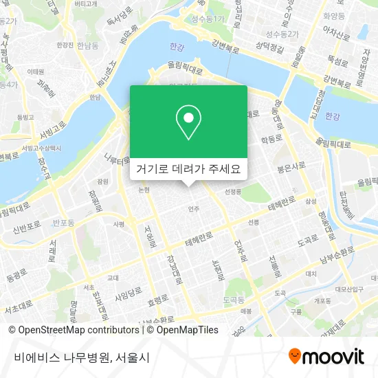 비에비스 나무병원 지도