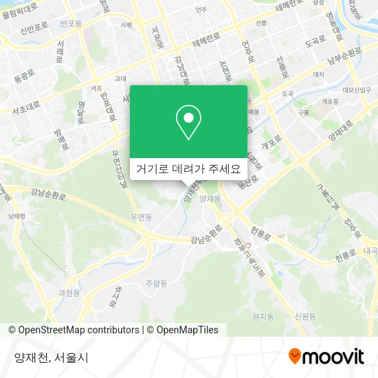 양재천 지도