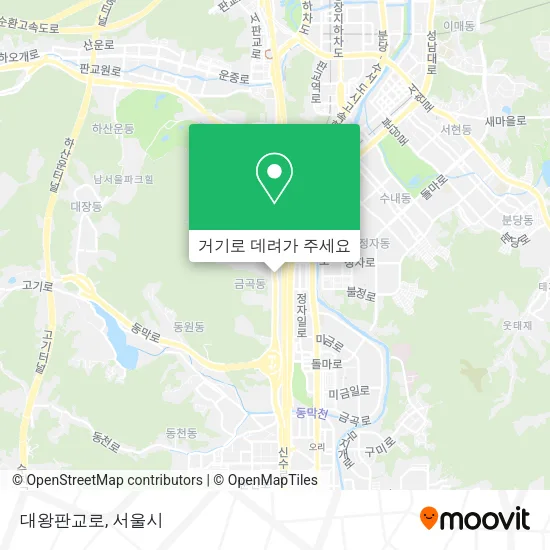 대왕판교로 지도