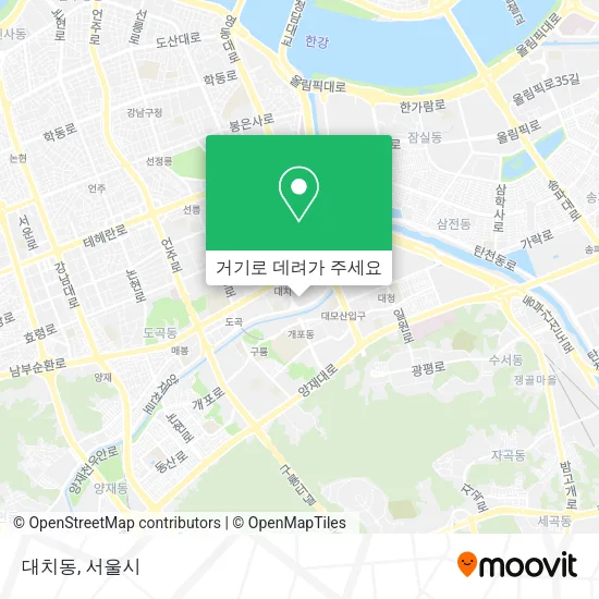 대치동 지도