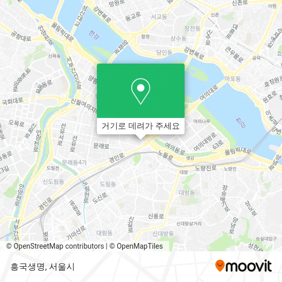 흥국생명 지도