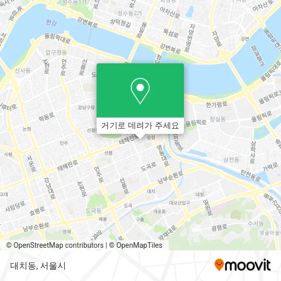 대치동 지도