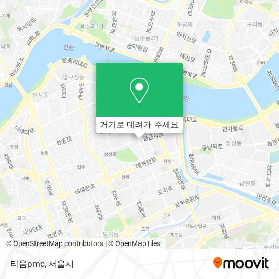 티움pmc 지도