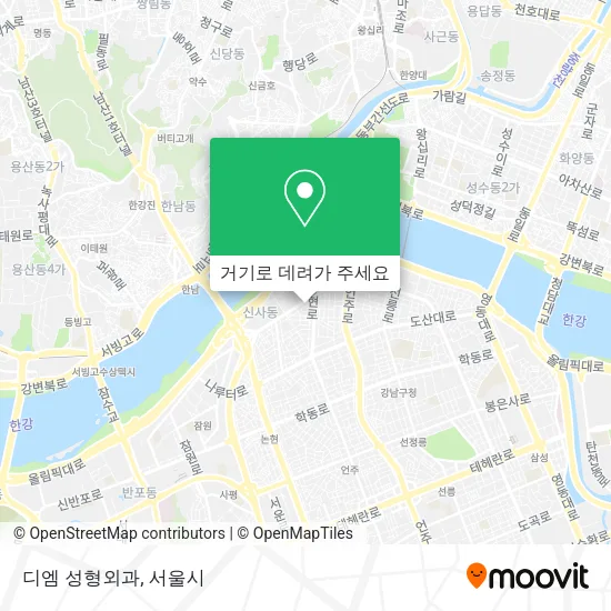 디엠 성형외과 지도