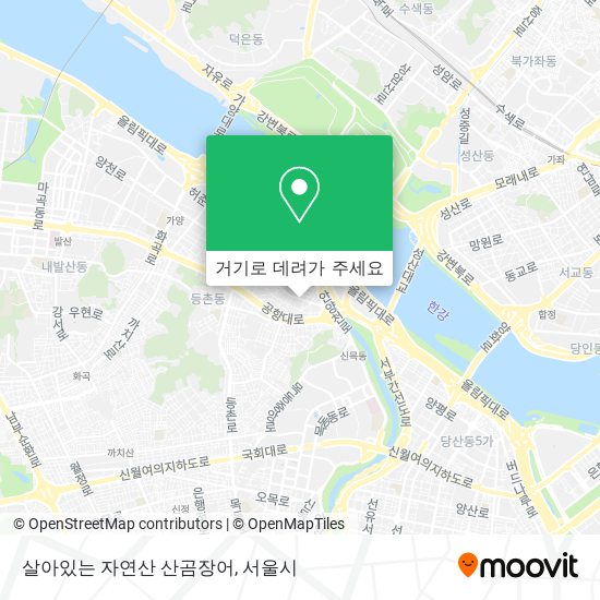 살아있는 자연산 산곰장어 지도