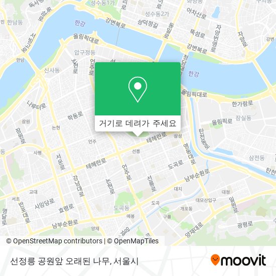 선정릉 공원앞 오래된 나무 지도