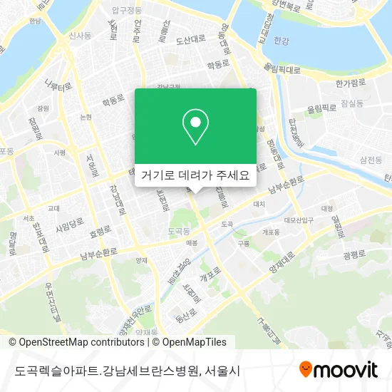도곡렉슬아파트.강남세브란스병원 지도