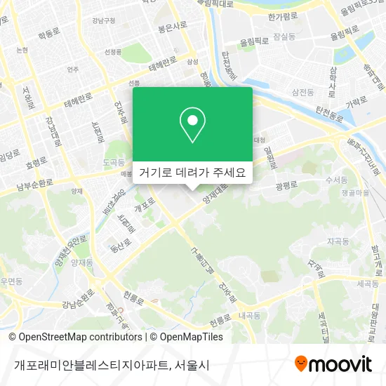 개포래미안블레스티지아파트 지도