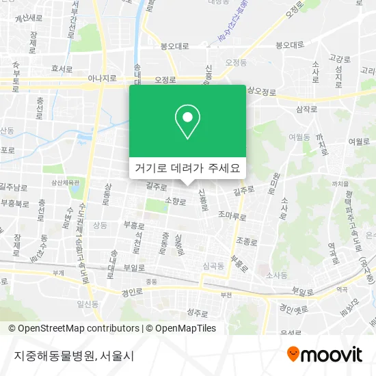 지중해동물병원 지도