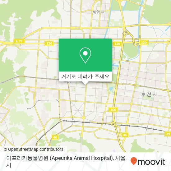 아프리카동물병원 (Apeurika Animal Hospital) 지도