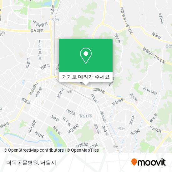 더독동물병원 지도