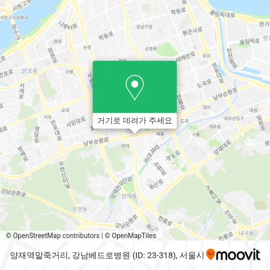 양재역말죽거리, 강남베드로병원 (ID: 23-318) 지도