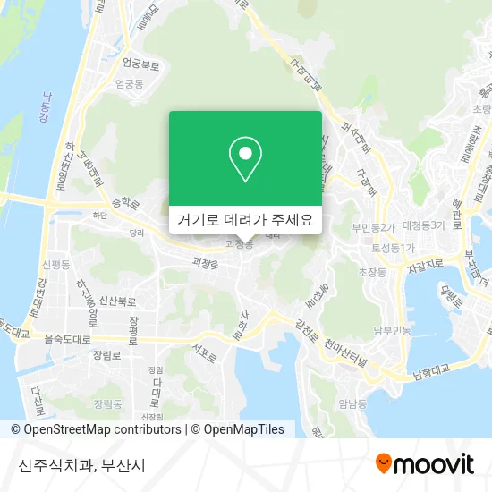 신주식치과 지도