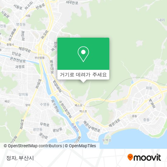 정자 지도