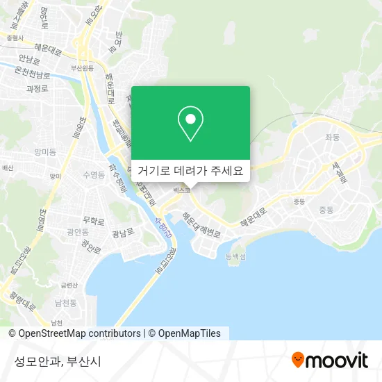 성모안과 지도