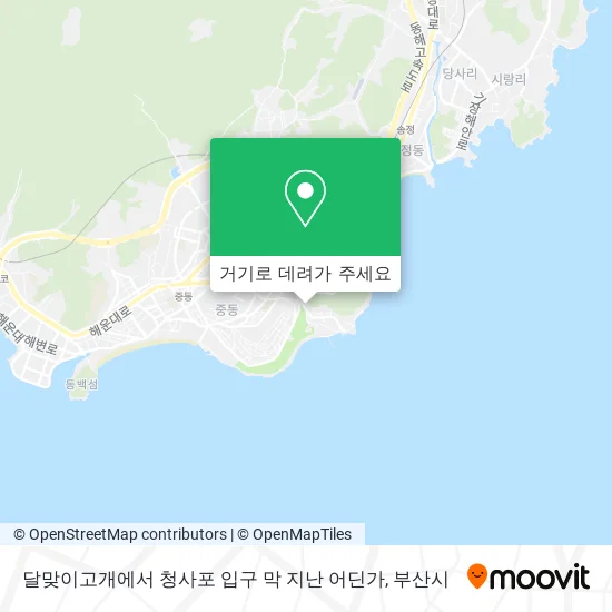 달맞이고개에서 청사포 입구 막 지난 어딘가 지도