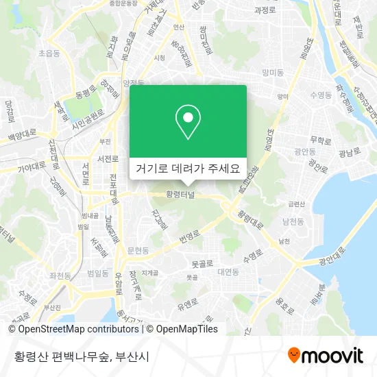황령산 편백나무숲 지도
