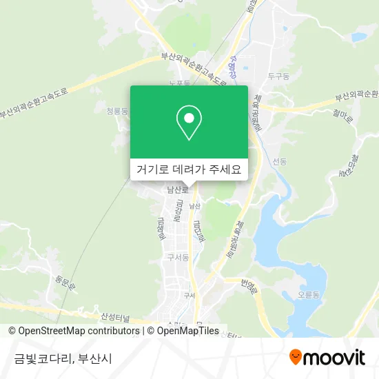 금빛코다리 지도