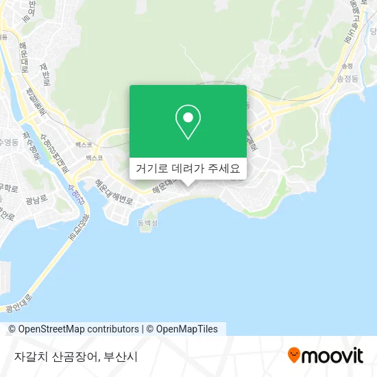 자갈치 산곰장어 지도