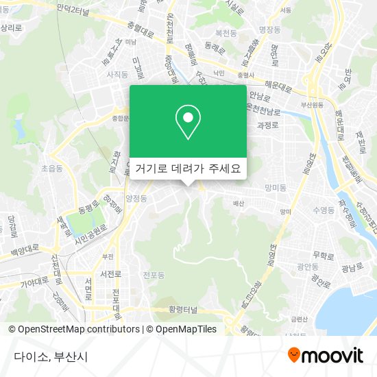 다이소 지도