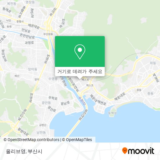 올리브영 지도