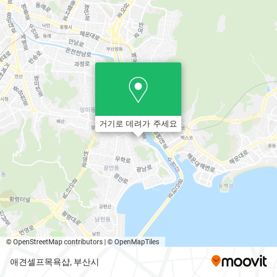 애견셀프목욕샵 지도