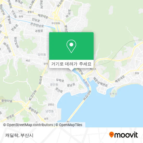 캐딜락 지도