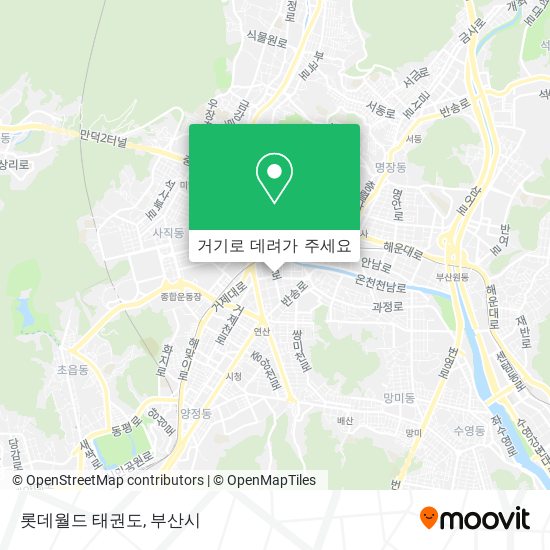 롯데월드 태권도 지도