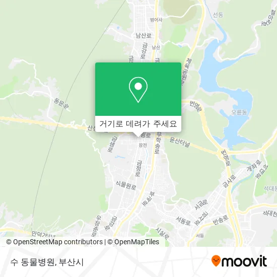 수 동물병원 지도