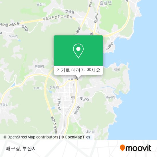 배구장 지도