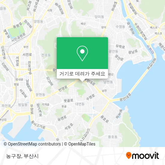 농구장 지도
