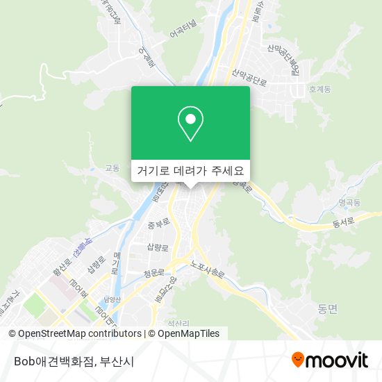 Bob애견백화점 지도