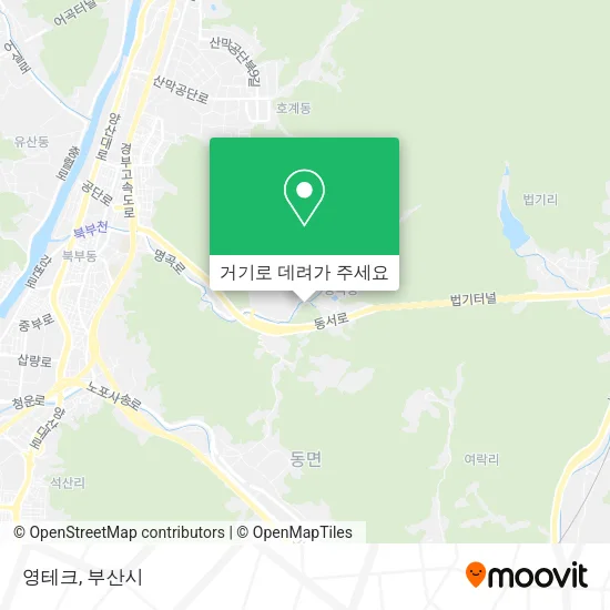 영테크 지도