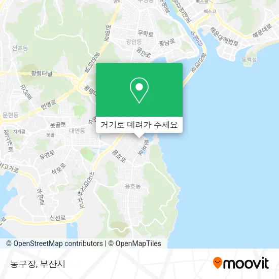 농구장 지도