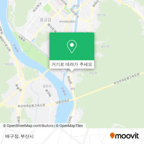 배구장 지도