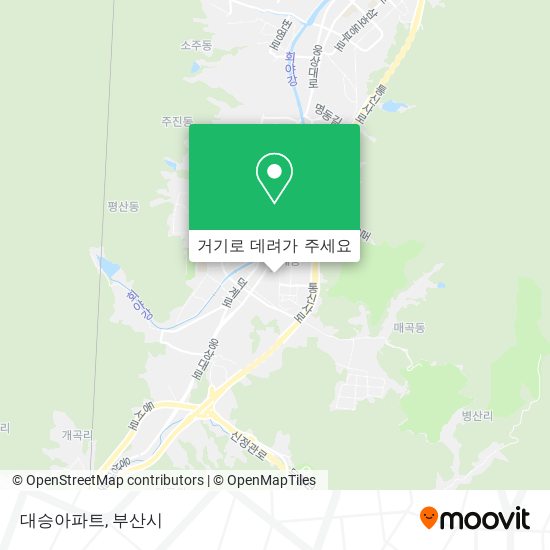 대승아파트 지도