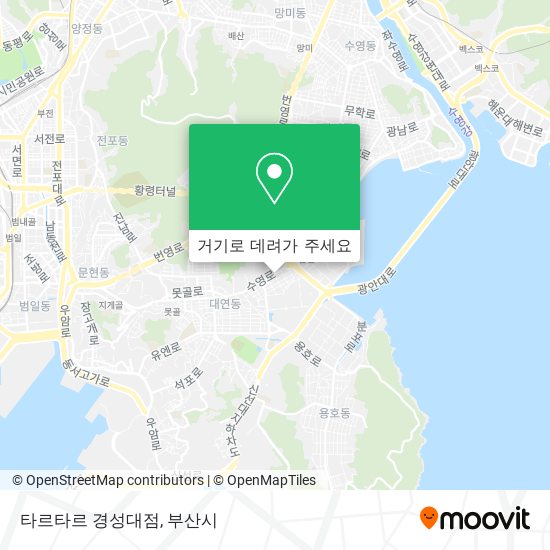 타르타르 경성대점 지도