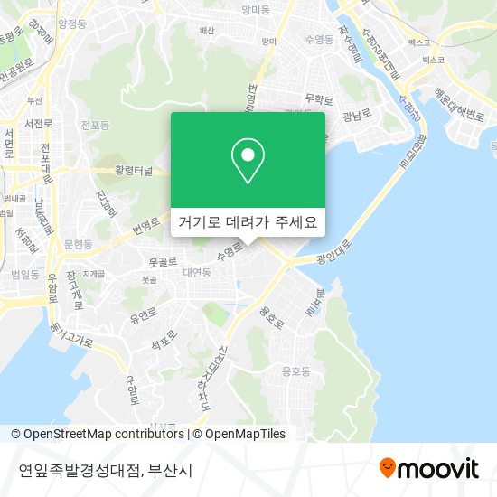연잎족발경성대점 지도