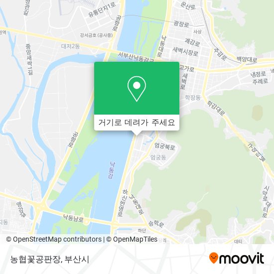 농협꽃공판장 지도