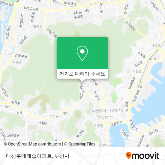 대신롯데캐슬아파트 지도